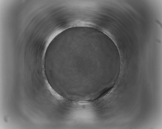 X0000101971152200807251205