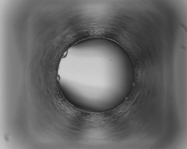 X0000101971153200807251205