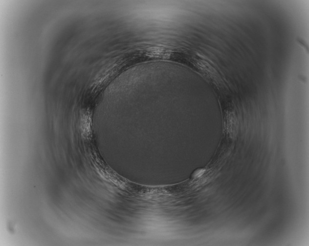 X0000101971154200807251205