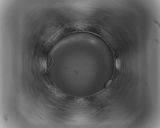 X0000101971155200807251205