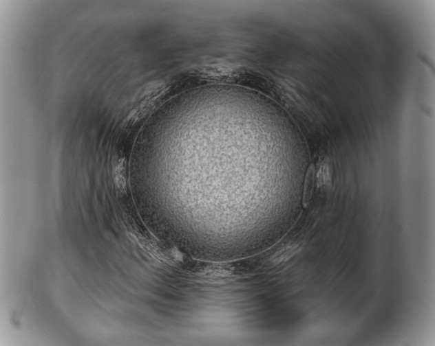 X0000101971156200807251205
