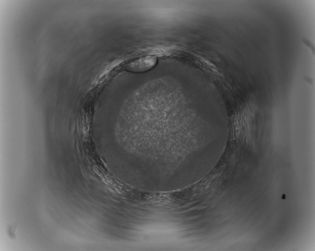 X0000101971158200807251205