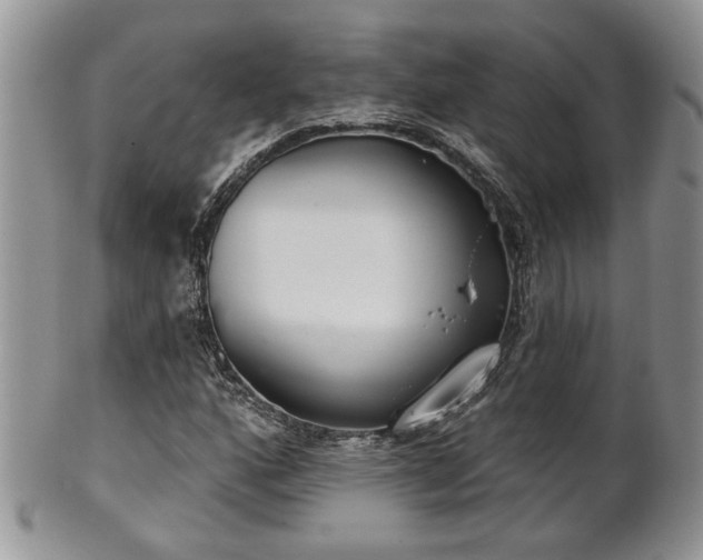 X0000101971160200807251205