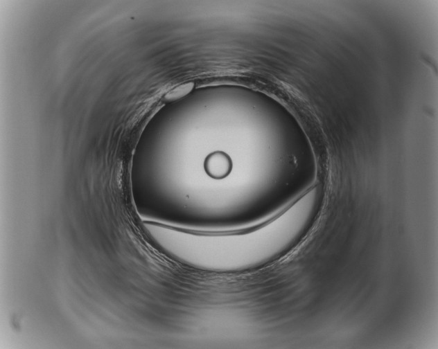 X0000101971161200807251205