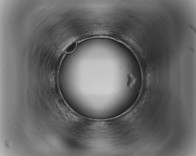 X0000101971162200807251205
