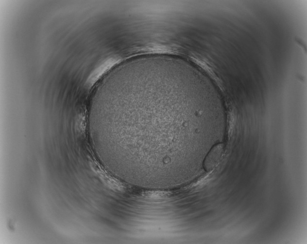 X0000101971163200807251204