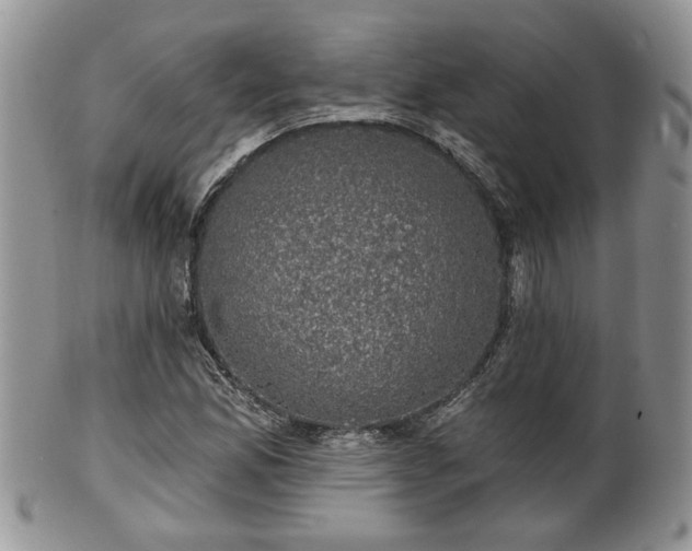 X0000101971165200807251204