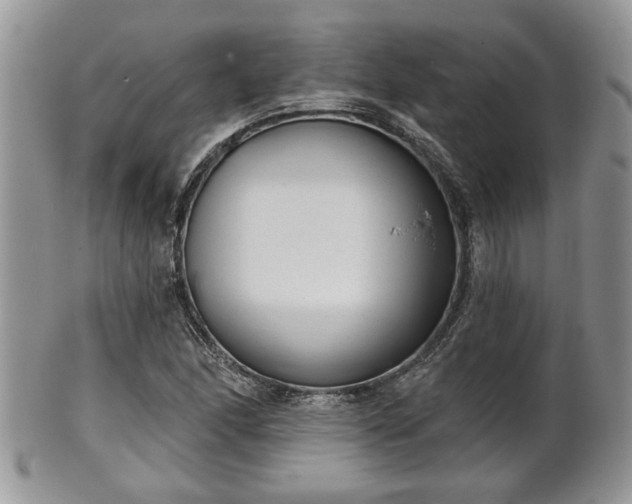 X0000101971166200807251204