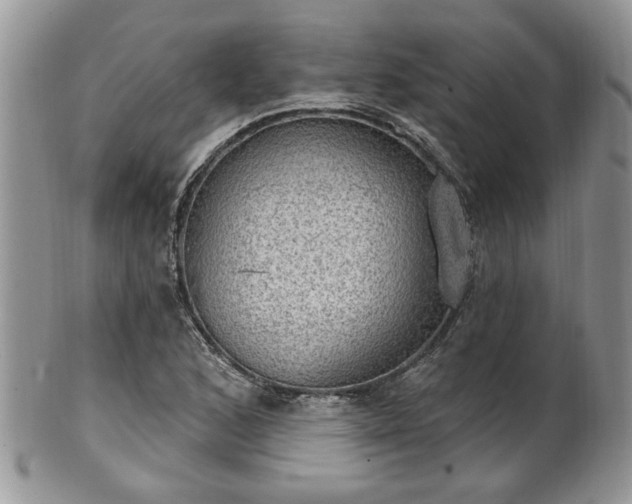 X0000101971168200807251204