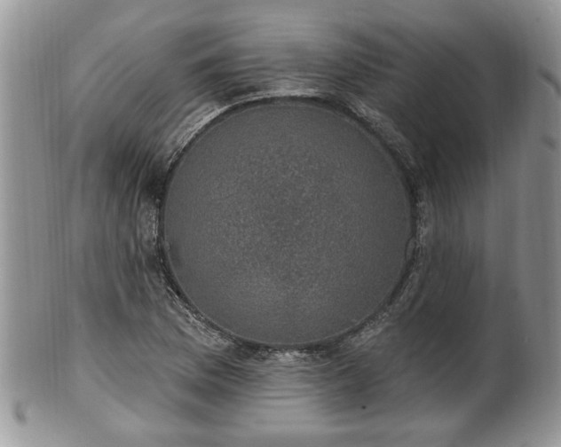 X0000101971169200807251204