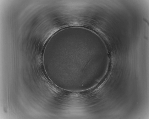 X0000101971170200807251204