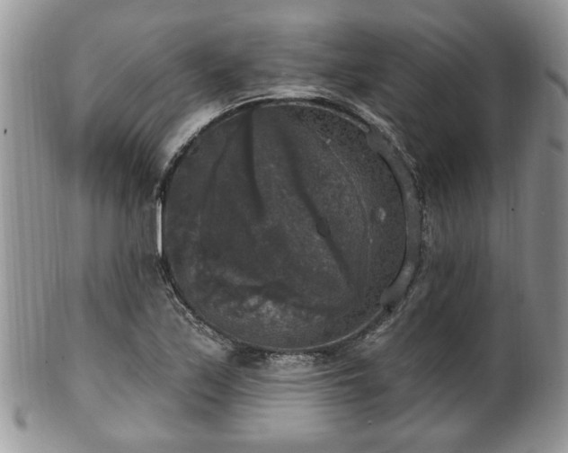 X0000101971171200807251204