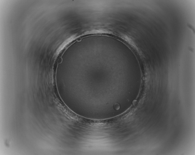 X0000101971173200807251204