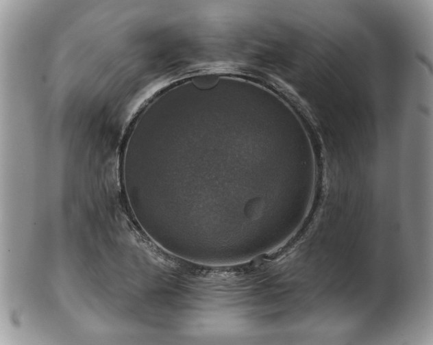 X0000101971174200807251204