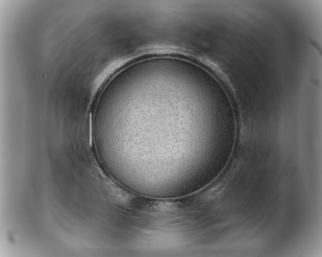 X0000101971175200807251204