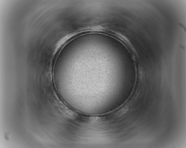 X0000101971176200807251204
