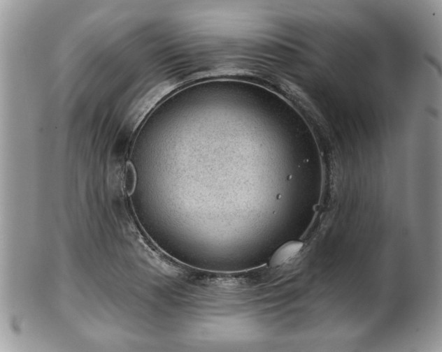X0000101971177200807251204