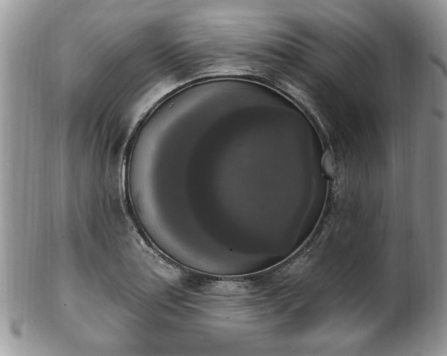X0000101971179200807251204