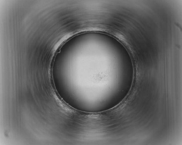 X0000101971181200807251204