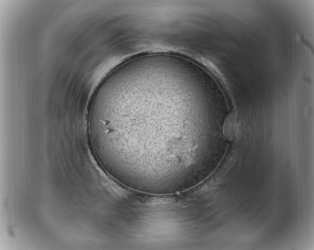 X0000101971183200807251204