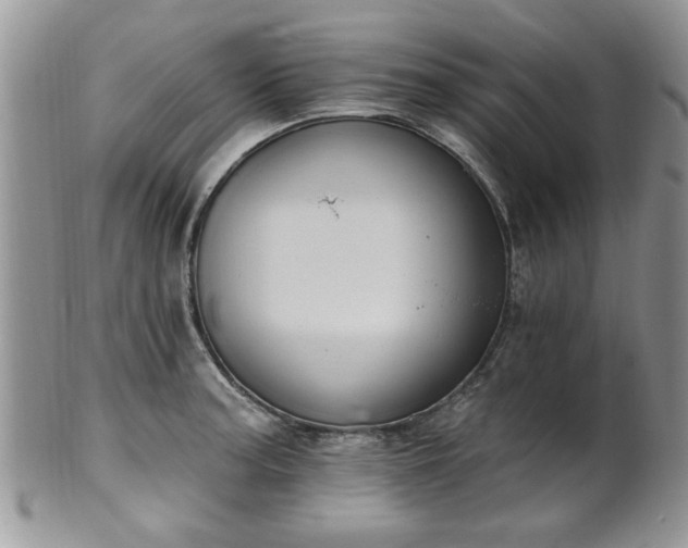 X0000101971187200807251204