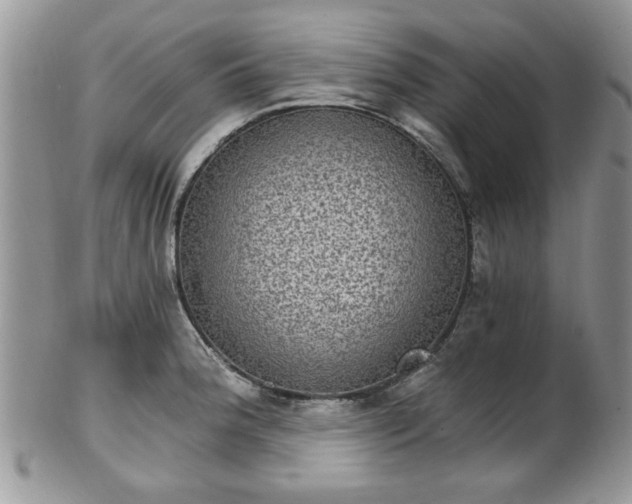 X0000101971188200807251204