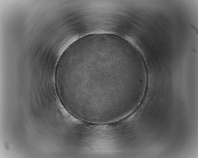 X0000101971189200807251204