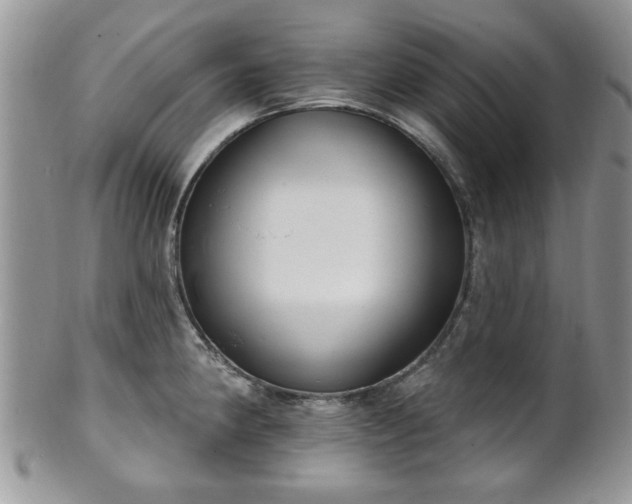X0000101971190200807251204