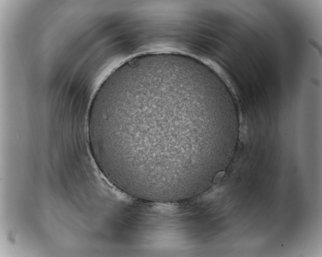 X0000101971191200807251204