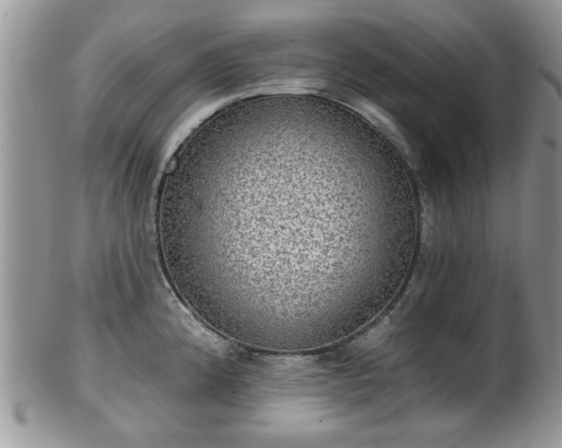 X0000101971192200807251204