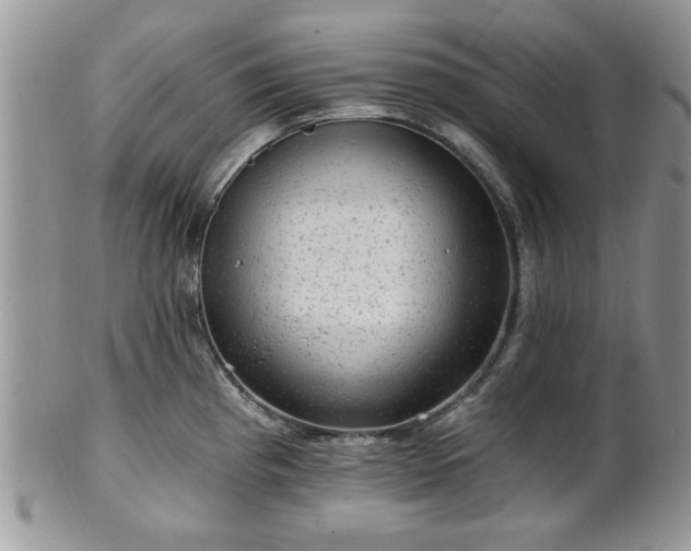 X0000101971193200807251204