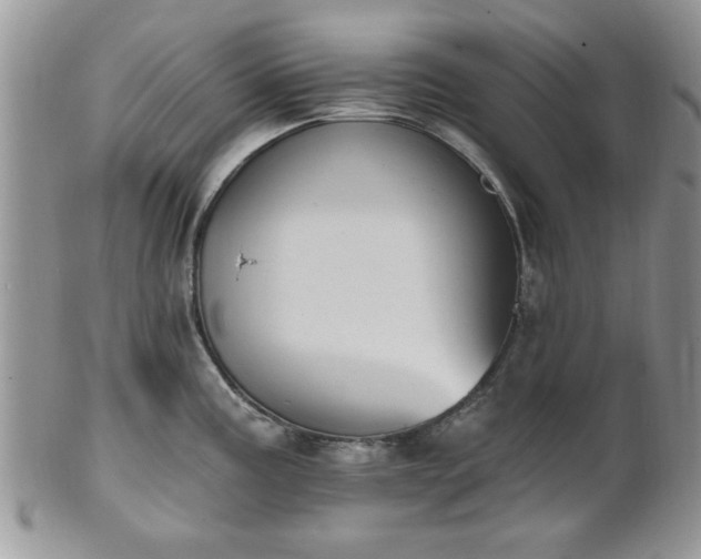 X0000101971195200807251204