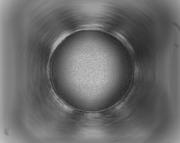 X0000101971196200807251204