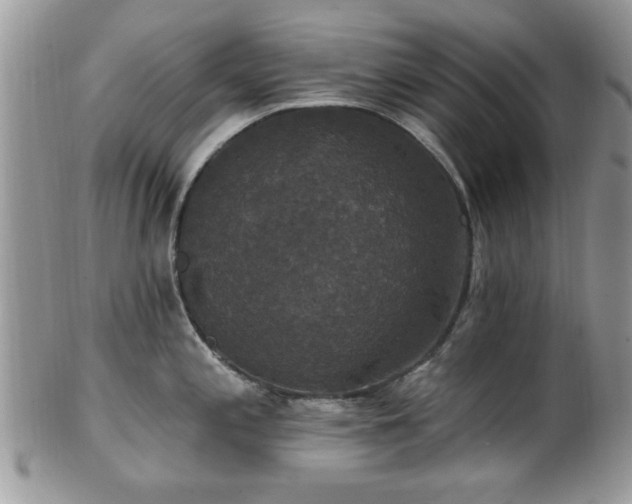 X0000101971197200807251204