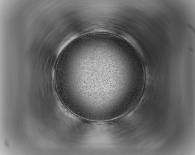 X0000101971198200807251204
