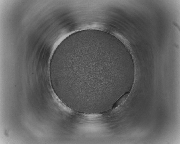 X0000101971200200807251204