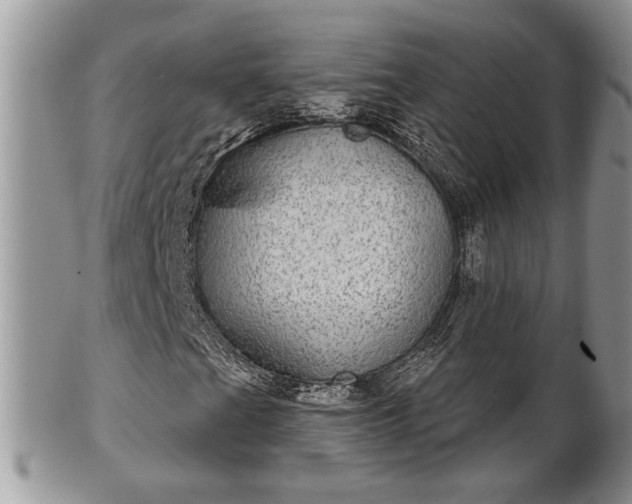 X0000101971201200807251203