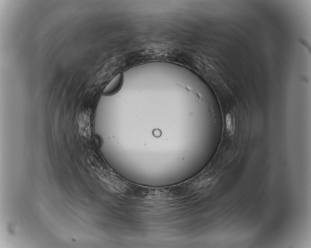 X0000101971203200807251203