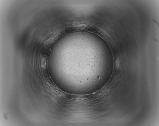 X0000101971204200807251203