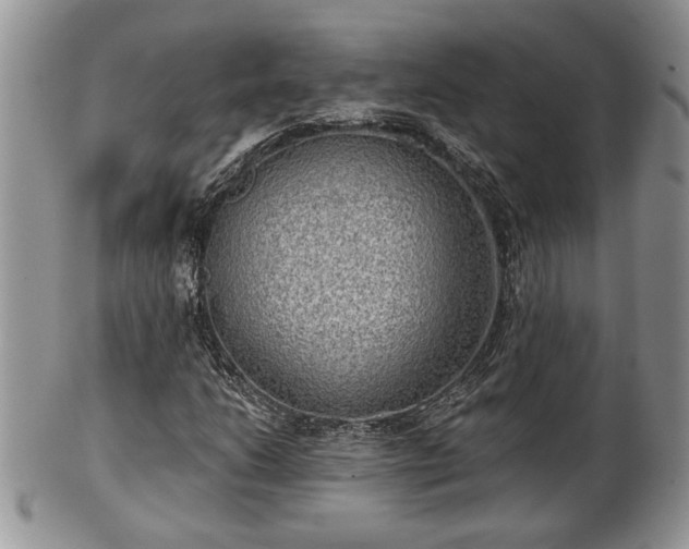 X0000101971206200807251203