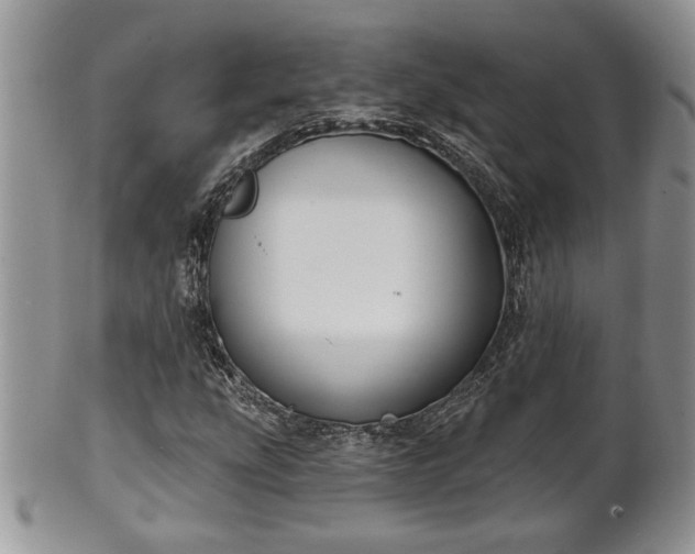 X0000101971207200807251203