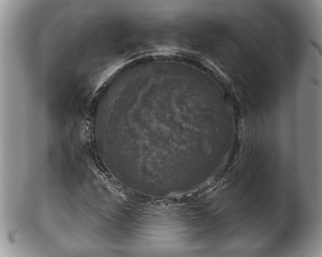 X0000101971208200807251203