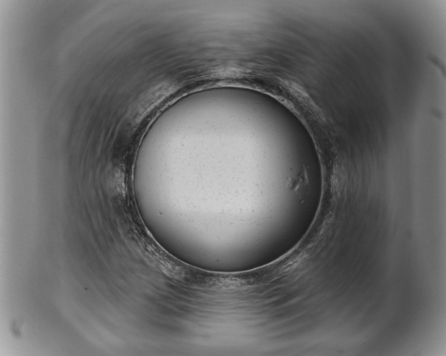 X0000101971209200807251203