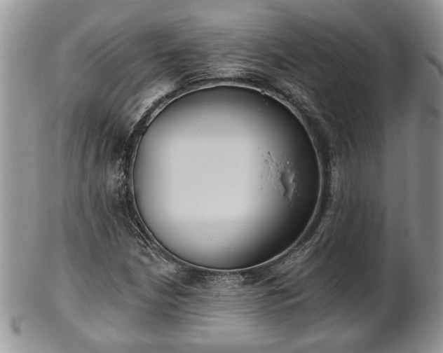 X0000101971210200807251203