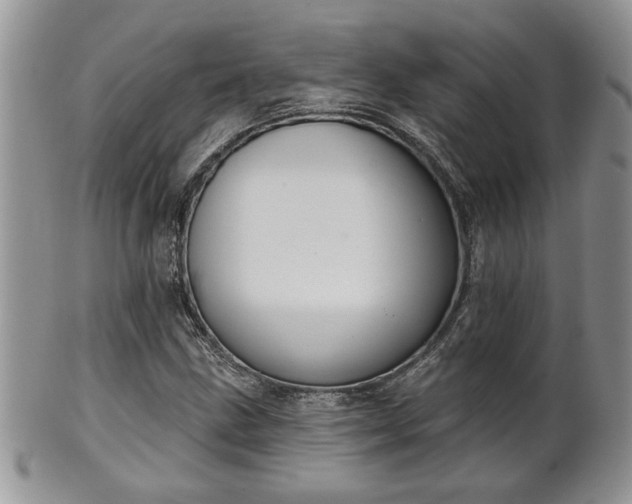 X0000101971211200807251203