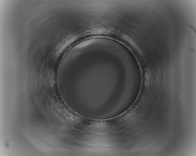 X0000101971213200807251203