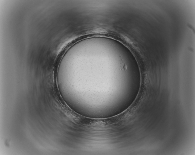 X0000101971214200807251203