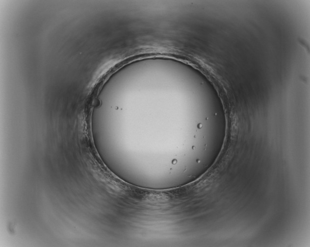 X0000101971215200807251203