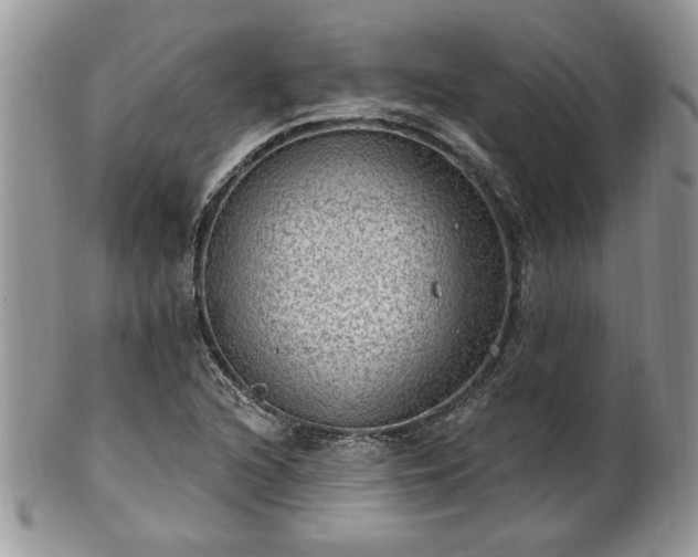 X0000101971216200807251203