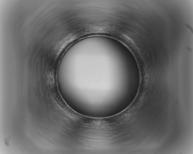 X0000101971218200807251203